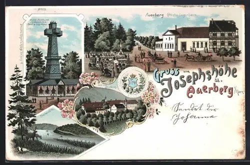 Lithographie Auerberg / Harz, Gast- und Logierhaus Josephshöhe u. Auerberg