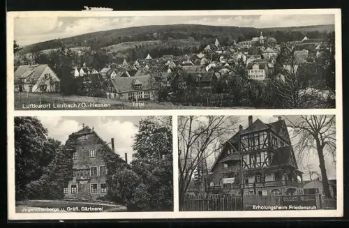 AK Laubach / Oberhessen, Jugendherberge & Gräfl. Gärtnerei, Erholungsheim Friedensruh