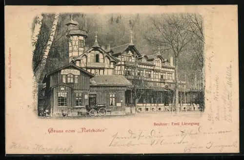 AK Netzkater /Harz, Blick auf das Hotel Netzkater, Inh. Emil Liesegang