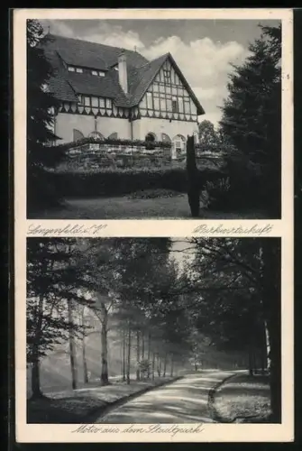 AK Lengenfeld i. V., Gasthaus und Parkwirtschaft, Motiv aus dem Stadtpark