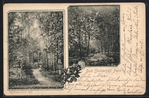 AK Bad Steinerhof, Ansichten aus dem Park