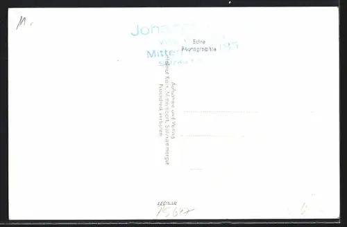 AK Bad Mitterndorf, Die Villa Wilfriede