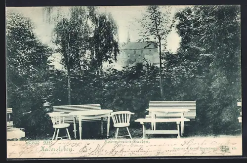 AK Hadersleben, Partie im Haromonien-Garten