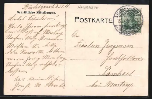 AK Haderslev, Panorama