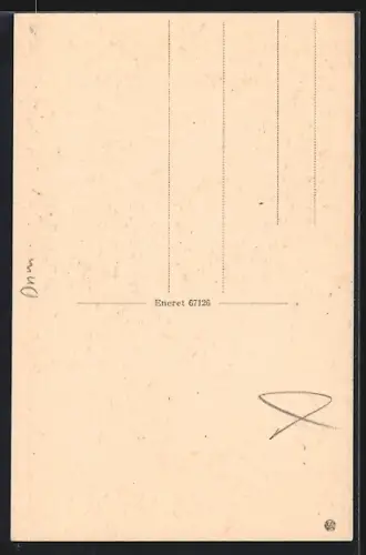 AK Dragor, Van Ostensgade, Strassenpartie mit Gänsen