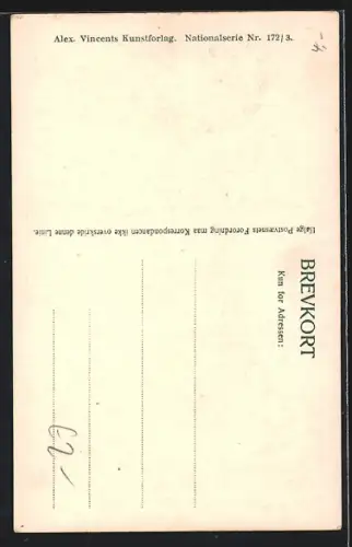 Lithographie Kobenhavn, Raadhus, Rathaus mit dänischer Fahne