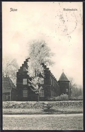 AK Skive, Krabbesholm