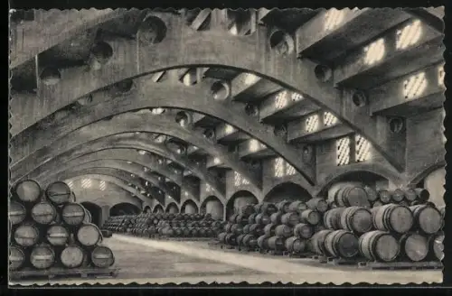 AK San Sadurni de Noya, Casa Codorniu, Una bodega