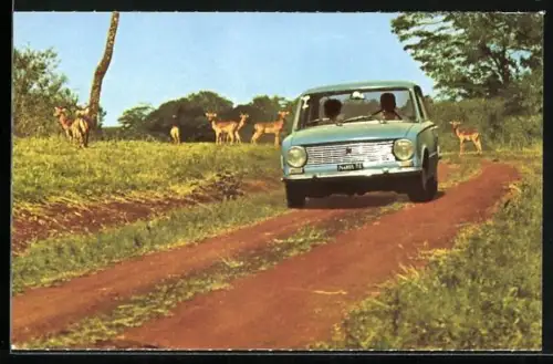 AK Fiat 124 in der afrikanischen Steppe