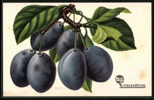 AK Reklame Confitüren Hero Lenzburg, Pflaumen