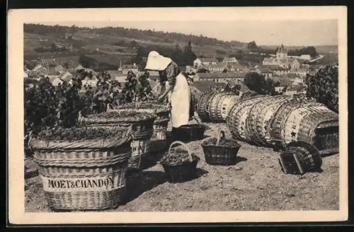 AK Mesnil-sur-Oger, Scène de vendange, Weinlese