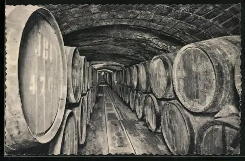 AK Weinfässer im Keller von Codorniu
