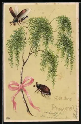 AK Zwei Maikäfer und Birkenzweig mit rosa Schleife, Pfingstgruss