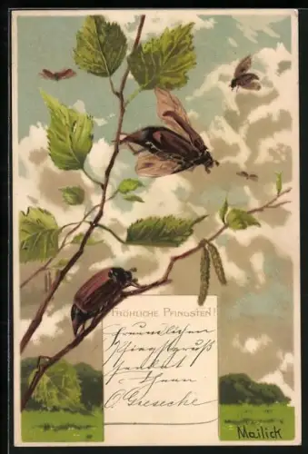 Künstler-AK Alfred Mailick: Maikäfer an Zweigen, Pfingstgruss
