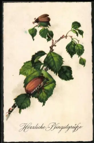 AK Ein frohes Pfingstfest, Maikäfer auf Zweig