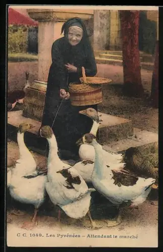AK Attendant le marche, ältere Frau füttert Gänse