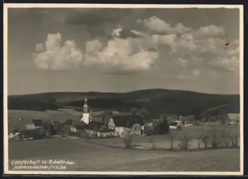 AK Schellerhau, Landschaft, Kirche, Ortsansicht