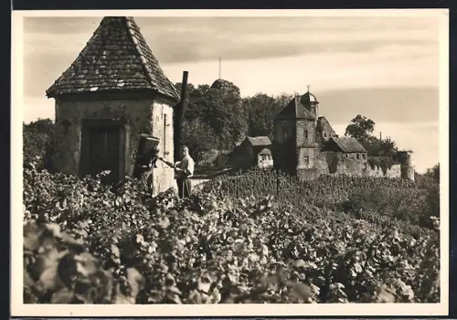 AK Kropsburg /Rheinpfalz, Hotel K. Jungk, Burganlage und Weinberge