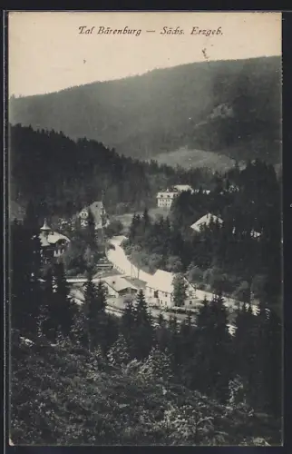 AK Bärenburg /Sächs. Erzgeb., Talansicht mit Gebäuden und Wald