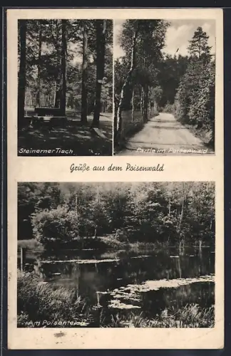 AK Rabenau / Sachsen, Steinerner Tisch, Partie im Poisenwald, Am Poisen-Teich
