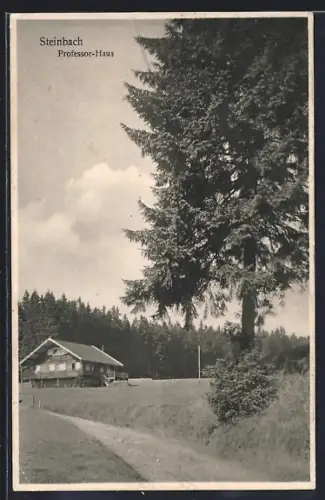 AK Steinbach / Auersberg, Professor-Haus