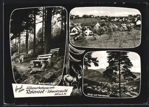 AK Rotensol /Schwarzwald, Ruheplatz, Ortsansicht, Blick auf Herrenalb