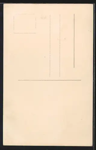 AK Geiranger, Panorama