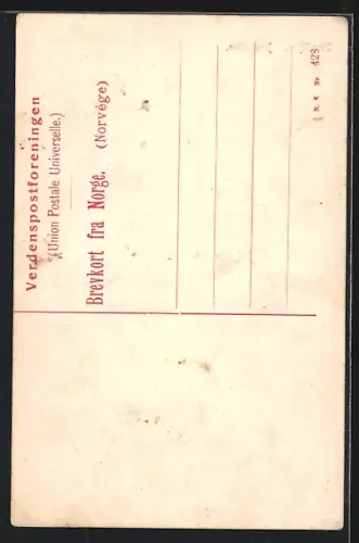 AK Trondhjem, Domkirken