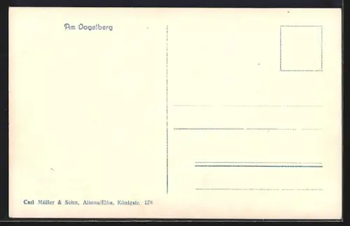 AK Vogelkolonie am Felsen