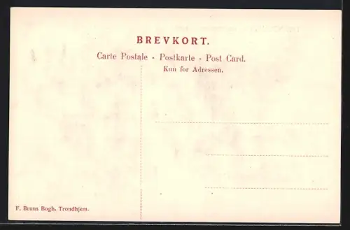 AK Trondhjem, Kristiansten Faestning