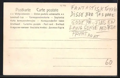 AK Trondhjem, Panorama