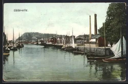 AK Uddevalla, Panorama