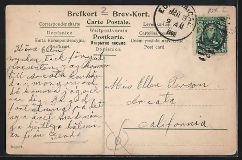 AK Uddevalla, Panorama