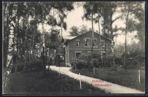 AK Hellekis, Björkudden