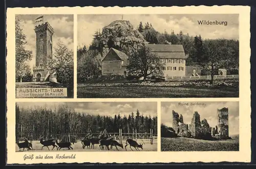 AK Hilscheid, Erbeskopf, Wildenburg, Aussichtsturm, Ruine Baldenau