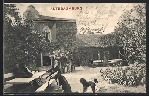 AK Altebaumburg, Gartenansicht mit Personen und Hunden