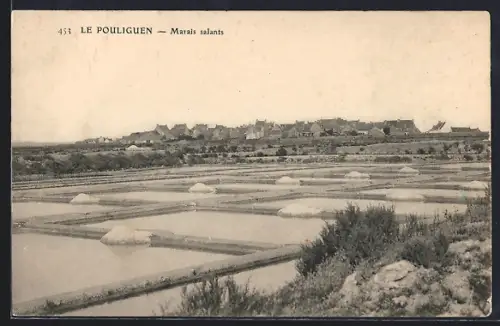 AK Le Pouliguen, Marais salants