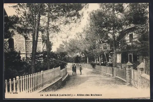 AK La Baule /Loire-Inf., Allées des Bouleaux