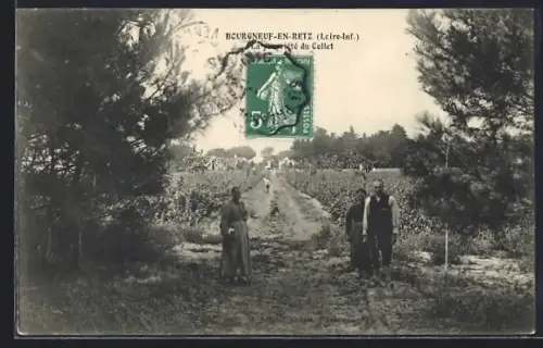 AK Bourgneuf-en-Retz /Loire-Inf., La Grande Allée du Collet