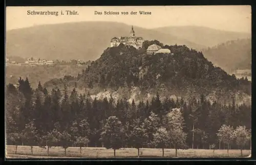 AK Schwarzburg i. Thür., Schloss von der Wiese