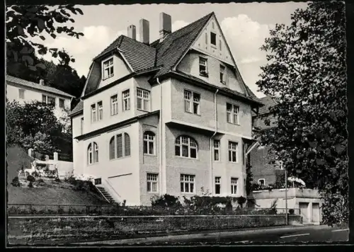 AK Bad Hersfeld, Gasthaus Haus Viola, Inh. Elisabeth Thierauf, Am Weinberg 7