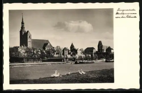 AK Tangermünde, Stadtpanorama von der Elbseite