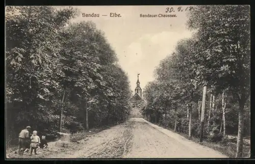 AK Sandau /Elbe, Sandauer Chaussee