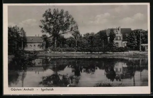 AK Güsten /Anhalt, Igelteich