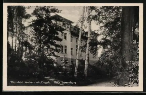 AK Wolkenstein /Erzgeb., Haus Luxemburg