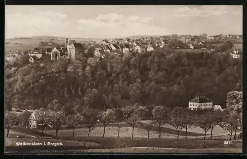 AK Wolkenstein i. Erzgeb., Ortsansicht mit Wald