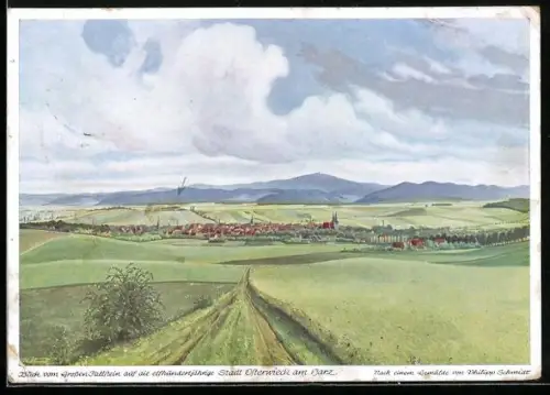 Künstler-AK Osterwieck am Harz, Blick vom Grossen Fallstein auf die Altstadt