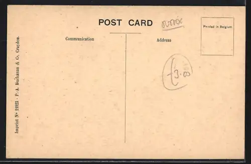 AK Bexhill-on-Sea, Our Ladye`s Convent, The Pergola Facing East