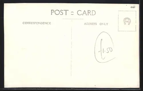 AK Hastings, View from the Castle