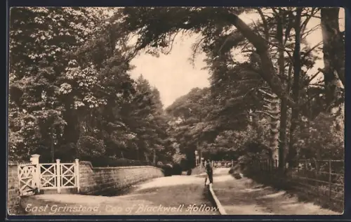 AK East Grinstead, Top of Blackwell Hollow